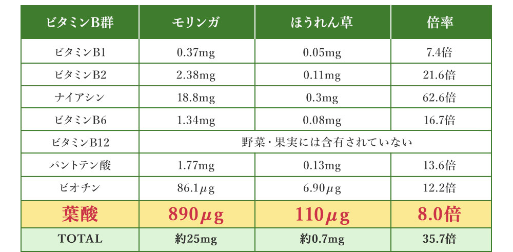 ビタミンB群、モリンガ、ほうれん草、倍率、葉酸　比較表