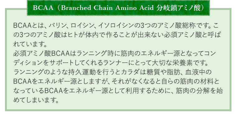 BCAA（Branched Chain Amino Acid 分岐鎖アミノ酸）　BCAAとは、バリン、ロイシン、イソロイシンの3つのアミノ酸総称です。この3つのアミノ酸はヒトが体内で作ることが出来ない必須アミノ酸と呼ばれています。
必須アミノ酸BCAAはランニング時に筋肉のエネルギー源となってコンディションをサポートしてくれるランナーにとって大切な栄養素です。
ランニングのような持久運動を行うとカラダは糖質や脂肪、血液中のBCAAをエネルギー源としますが、それがなくなると自らの筋肉の材料となっているBCAAをエネルギー源として利用するために、筋肉の分解を始めてしまいます。